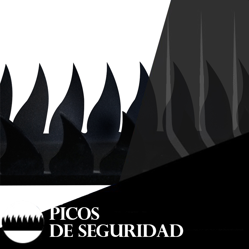 picos-de-seguridad-recomendacion-1
